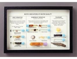 BIOTIC INDICATORS RIKER