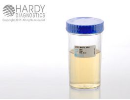 MYEP BROTH 90ML PK12