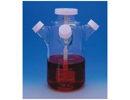 CELSTER W/4 SIDEARMS 1000ML