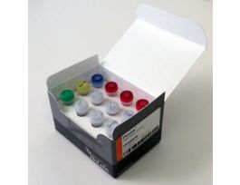 PHUSION HF PCR KIT- 200 RXNS