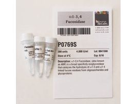A1-3 4 FUCOSIDASE P0769S
