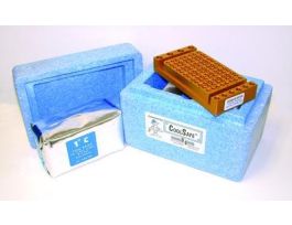 1 DEGREE C COOL BRICK