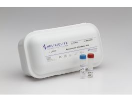 HELIX ELITE NOROVIRUS GII 4 RNA