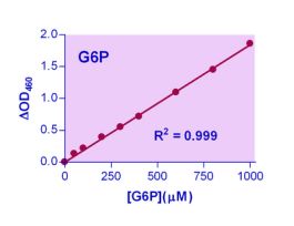 KIT GLUCOSE-6-PHOS ASY ENZYCHROM 100TEST
