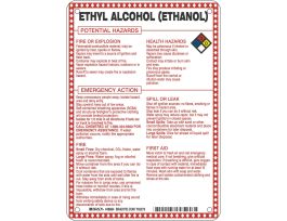 Ethyl Alcohol (Ethanol) Potential Hazards Sign, 10" H x 7" W x 0.1" D, Black/Blue/Red/Yellow on White