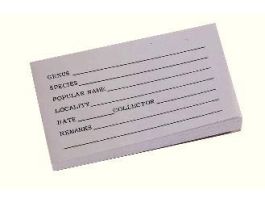 BOTANICAL LABELS 2 X 3-1/2 PAD/100