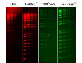 GELGREEN IN WATER (TRIAL SIZE)