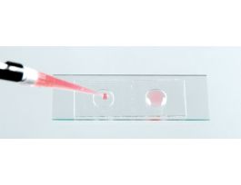 STICKERS SLIDES 0.25MM PK25 PK