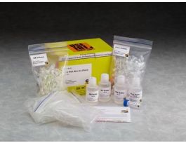 MINI TOTAL PLANT RNA KT