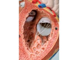 MODEL GIANT HEART 22CMX 12CMX 12CM