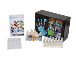 Kit How Good Is Your Suntan Lotion