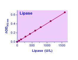 KIT LIPASE ASY QUANTICHROM 40 U/L 100TST