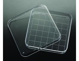 PETRI DISH SQUARE NON-ST CS500