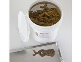 GRASSFROG 4-4.5 PLAIN PL/50 FORM-FREE