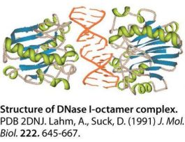 DEOXYRIBONUCLEASE I ULT-PR GRD 100KU