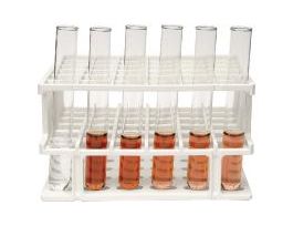 KIT - ENZYME CATALYSIS W/CPN