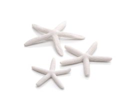 BIORB STARFISH SET 3 WHITE PK
