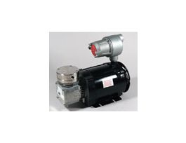 Explosion Proof Motor Vacuum Pump, 316SS/PTFE; 0.6 cfm/26.9"Hg-36psi