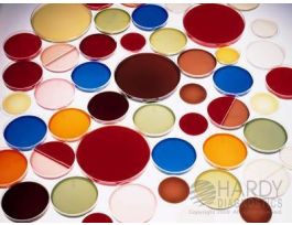HAYFLICK AGAR PLATE PK10