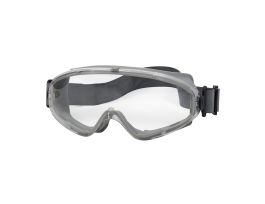 Fortis II, AS/AF Clr Lens, Gry IV Frm, Neoprn Strp