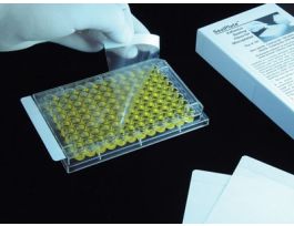 Films, Non-Sterile; 100/Pk