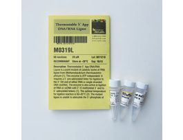 5FT APP DNA/RNA LIGASE 50 RXNS