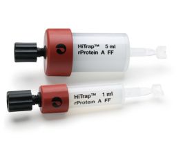 HITRAP RPROTEIN A FF 5ML F/PRT PURPK5