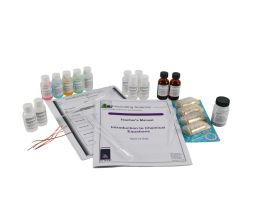 CHEMICAL EQUATIONS SMALL GROUP