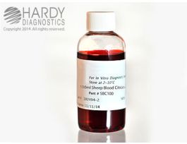 BLOOD SHEEP CITRATED100ML