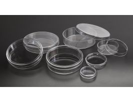 PETRI DISH S 12ML 50X9MM CS500