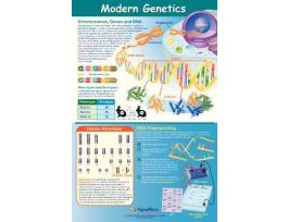 POSTER MODERN GENETICS NEW P. PK