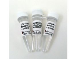 VENT (EXO-) DNA POLYMERASE