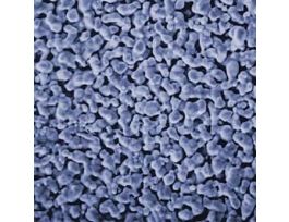 Filter, Silver, 0.8 m, 25 mm; 50/Pk