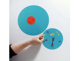 KIT PLANT AND ANIMAL CELL CONCEPT CLINGS