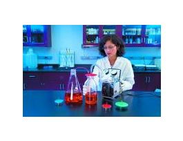 FILTER STERILE BT 0.2UM PK10