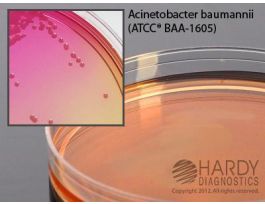 LEEDS ACINETOBACTER MEDIUM PK10