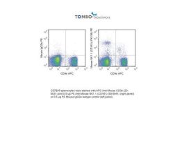PE ANTI-MOUSE NK1.1 100UG