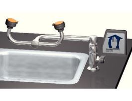 DECK MNT SWIVEL EYE WASH CT