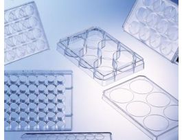 PLATE 24W TC LID CLR ST CS100