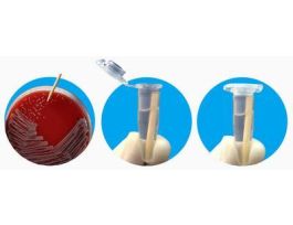 VWR PICK WOOD INO MN SP PK2000. CS