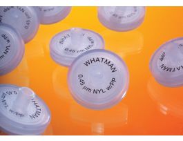 25 GD/XP FILT 0.45PVDF PK150