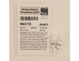 SHRIMP ALKALINE PHOSPHATASE (RSAP).