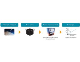 KIT FLUOR-BASED DNA ASSAY 350/460NM BULK