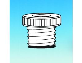 50MM -225 PTFE BUSHING