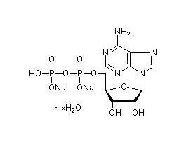 ADENOSINE-5'-DIPHSPHRC ACID 1G