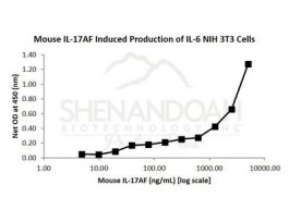 200-61-500UG MOUSE IL-17AF