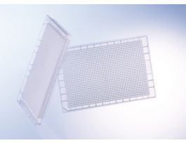 PLATE 1536DEEP WL PPN CL CS60