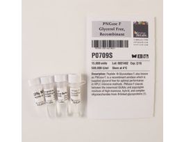 PNGASE F GLYCEROL FREE - RECOM P0709S