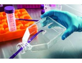 VWR CELL SCRAPER 25CM 20MM LIFTER IND ST