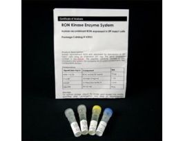 RON KINASE ENZ SYS SF9 INSECT CELL 1 MG